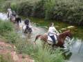 Paseos a caballo