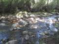 PARC NATURAL MONTSENY